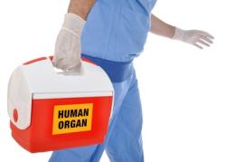 Le don d’organes après euthanasie : les chiffres parlent