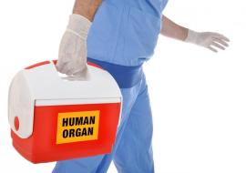 La Belgique renforce la pénalisation du trafic d’organes humains