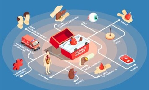 Etendre les critères de mortalité pour faciliter le don d'organes?