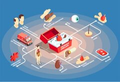 Etendre les critères de mortalité pour faciliter le don d'organes?
