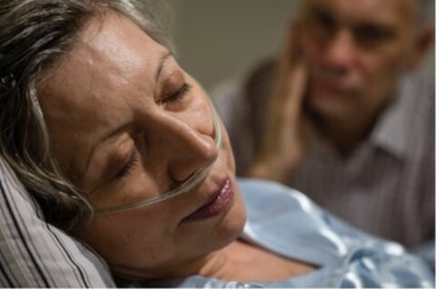 Belgique : Rom Houben