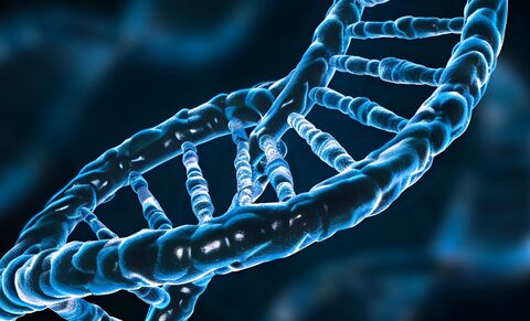 La plupart des embryons présentent une instabilité chromosomique