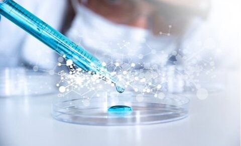 La recherche sur les cellules souches adultes en Belgique