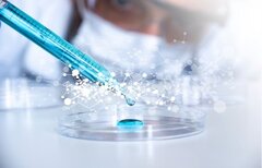 La recherche sur les cellules souches adultes en Belgique