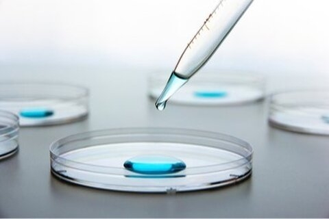 Charleroi : MaSTherCell pour la production et livraison de cellules souches