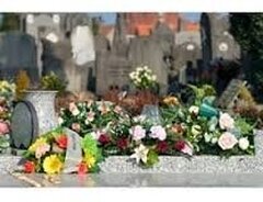 Enfants nés sans vie : moderniser et humaniser la législation