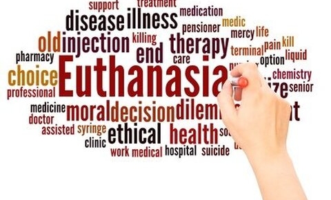 La Fondation Roi Baudouin et l'euthanasie