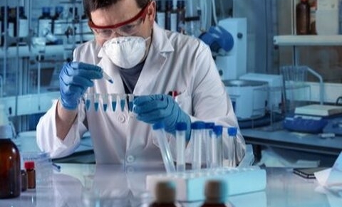 Leuven: production de cellules souches adultes issues de tissus graisseux