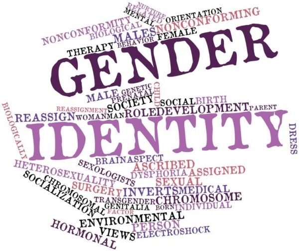 Transgenres : explosion des enregistrements à l’état civil