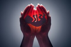 Dossier de l'IEB: diagnostics prénataux et préimplatatoires