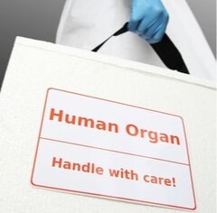 La Belgique, n°1 en nombre de donneurs d'organes