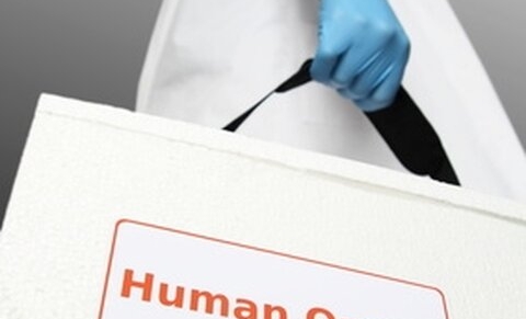 Levende-nierdonatie: beste nierfunctievervangende therapie onvoldoende ingeburgerd in België.