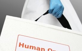 Levende-nierdonatie: beste nierfunctievervangende therapie onvoldoende ingeburgerd in België.