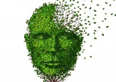 42% des habitants de Flandre préféreraient l’euthanasie à la démence