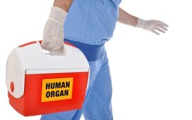 Behoefte aan navelstrengbloed in België