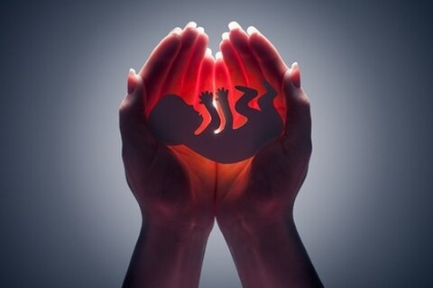 Europe : "Un de nous" dépasse les 1.885.000 signatures