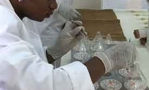 Fécondation in vitro low-cost