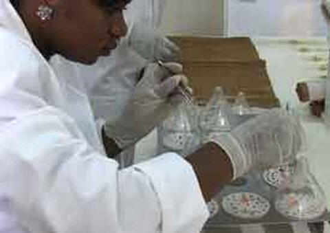 Fécondation in vitro low-cost