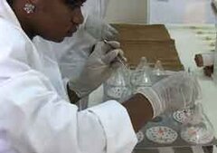 Fécondation in vitro low-cost