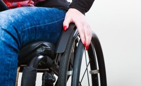 L'intégration du droit des handicapés dans la Constitution approuvée en Commission