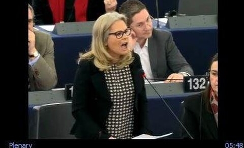 Le Parlement européen a rejeté le rapport Estrela