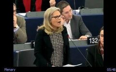 Le Parlement européen a rejeté le rapport Estrela