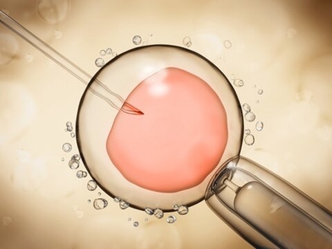 Oproep KU Leuven om spermadonor te worden