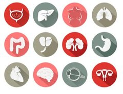 Un projet de convention européenne contre le trafic d'organes humains