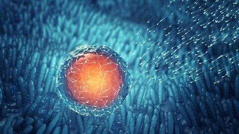 4 Avis du Comité national de Bioéthique de Belgique