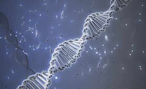 Autisme et génétique : découvertes de chercheurs anversois