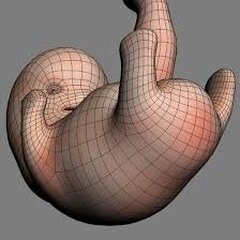 Embryon en 3D pour mieux détecter les anomalies avant réimplantation
