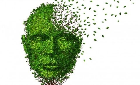 L'UCL investit dans les neurosciences