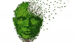 L'UCL investit dans les neurosciences