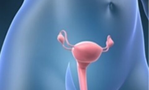 Naissance du premier bébé né après une greffe d’utérus