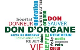 Orgaandonatie door patiënten intensieve zorgen in Nederland