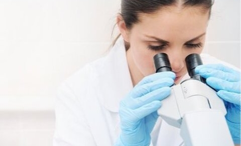 Un premier poumon artificiel humain créé en laboratoire