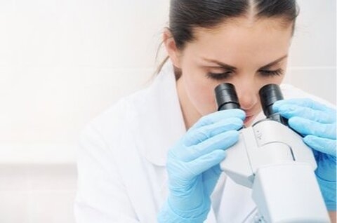 Un premier poumon artificiel humain créé en laboratoire