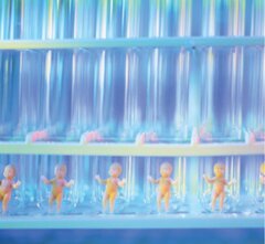 Belgique : 33 .150 cycles de fécondation in vitro pour 5.787 naissances