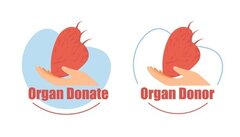 Chine : fin des prélèvements d’organes sur les prisonniers