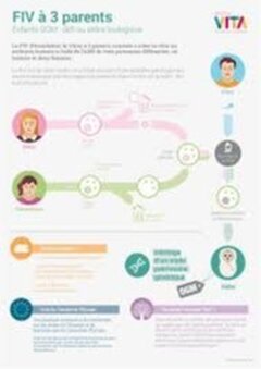 Royaume-Uni : un embryon conçu à partir des gamètes de deux femmes et d’un homme