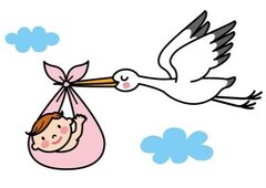 Suisse : GPA : une décision qui « fait primer le droit de l’enfant sur le droit à l’enfant »