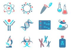UNESCO : le Comité International de Bioéthique (CIB) plaide pour la protection du génome humain