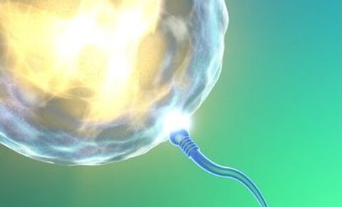 Brésil : vers une décriminalisation de l’avortement ?