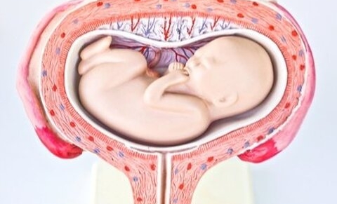Pologne : vers une meilleure protection de l'enfant à naître ?