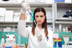 Royaume-Uni : vers une recherche sans restriction sur l’embryon ?