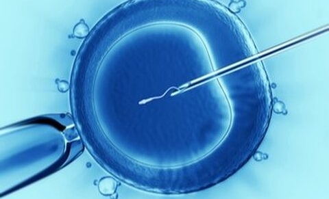 Europe : recours accru à la FIV malgré une fertilité stable.