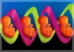 Pays-Bas : un donneur de sperme aurait 102 enfants