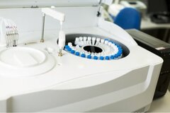 Avec le Brexit, risque d'une pénurie de sperme au Royaume-Uni ?