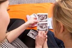 Diminution du nombre d’avortements depuis l’an 2000 aux Pays-Bas