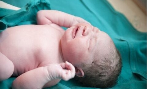 Infanticide de nouveau-né validé aux Pays-Bas